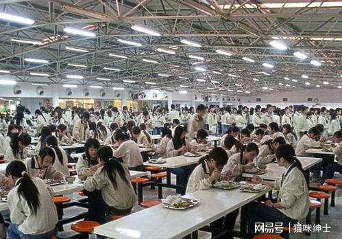 十年坚守一食堂 工厂女工晒饭引网友感叹背后的人生选择